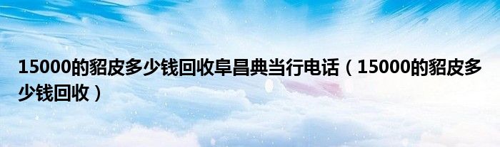 15000的貂皮多少钱回收阜昌典当行电话（15000的貂皮多少钱回收）
