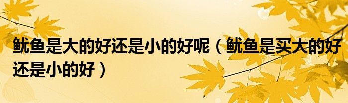 鱿鱼是大的好还是小的好呢（鱿鱼是买大的好还是小的好）
