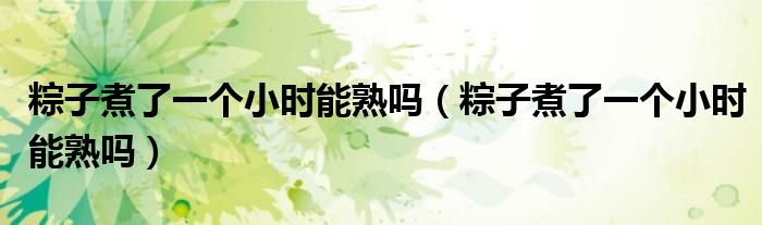 粽子煮了一个小时能熟吗（粽子煮了一个小时能熟吗）