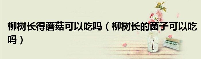柳树长得蘑菇可以吃吗（柳树长的菌子可以吃吗）