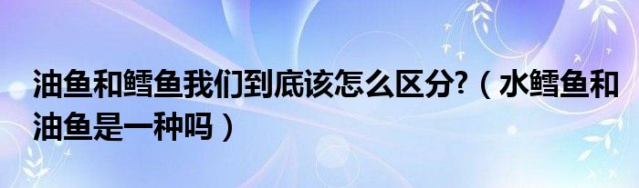 油鱼和鳕鱼我们到底该怎么区分?（水鳕鱼和油鱼是一种吗）