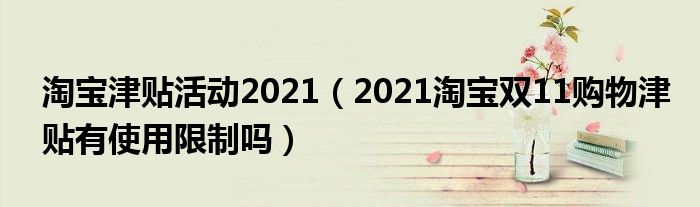 淘宝津贴活动2021（2021淘宝双11购物津贴有使用限制吗）