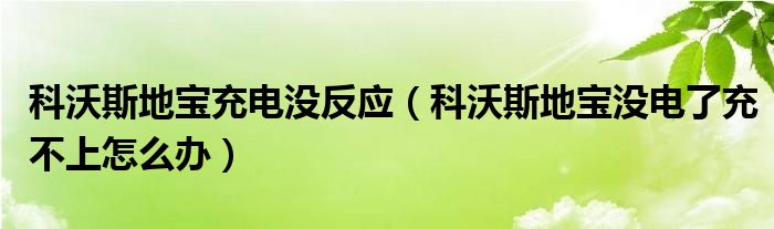 科沃斯地宝充电没反应（科沃斯地宝没电了充不上怎么办）