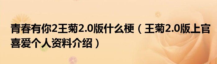 青春有你2王菊2.0版什么梗（王菊2.0版上官喜爱个人资料介绍）