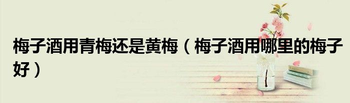 梅子酒用青梅还是黄梅（梅子酒用哪里的梅子好）