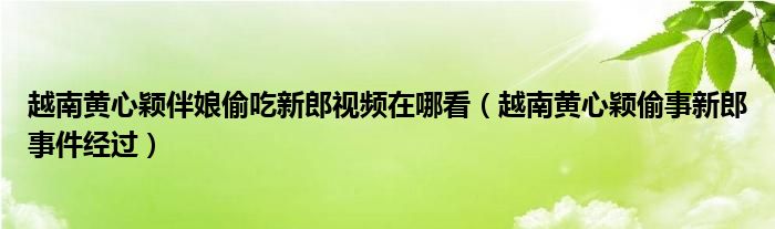 越南黄心颖伴娘偷吃新郎视频在哪看（越南黄心颖偷事新郎事件经过）