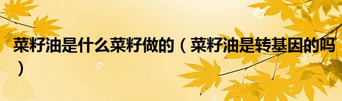 菜籽油是什么菜籽做的（菜籽油是转基因的吗）