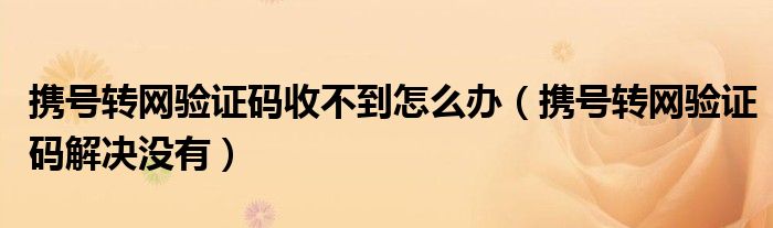 携号转网验证码收不到怎么办（携号转网验证码解决没有）