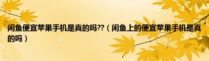 闲鱼便宜苹果手机是真的吗??（闲鱼上的便宜苹果手机是真的吗）