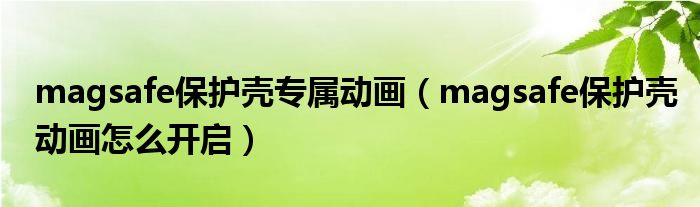 magsafe保护壳专属动画（magsafe保护壳动画怎么开启）