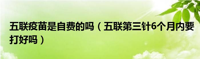 五联疫苗是自费的吗（五联第三针6个月内要打好吗）