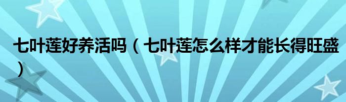 七叶莲好养活吗（七叶莲怎么样才能长得旺盛）