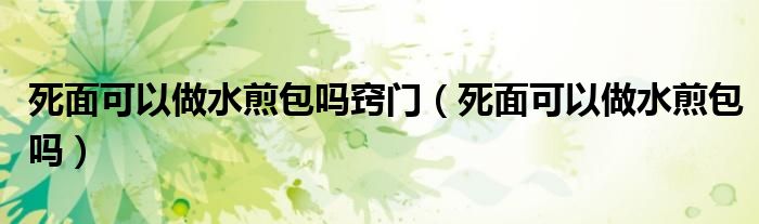 死面可以做水煎包吗窍门（死面可以做水煎包吗）