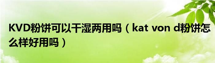 KVD粉饼可以干湿两用吗（kat von d粉饼怎么样好用吗）