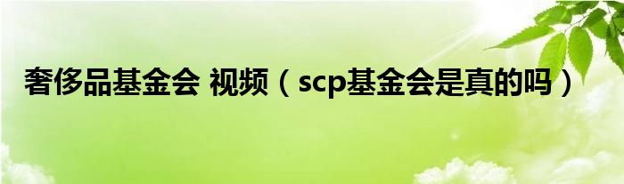 奢侈品基金会 视频（scp基金会是真的吗）