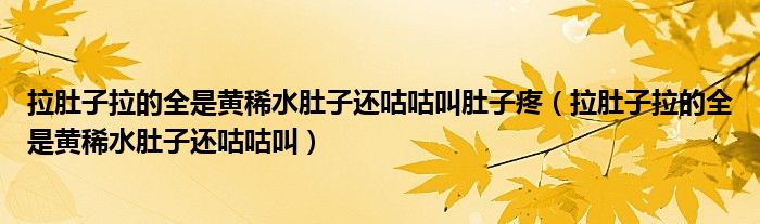拉肚子拉的全是黄稀水肚子还咕咕叫肚子疼（拉肚子拉的全是黄稀水肚子还咕咕叫）