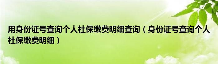 用身份证号查询个人社保缴费明细查询（身份证号查询个人社保缴费明细）