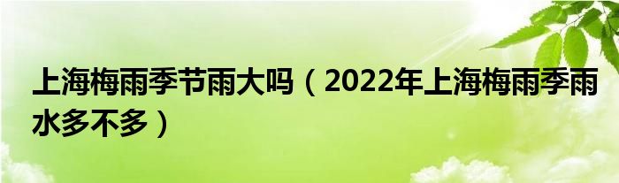 上海梅雨季节雨大吗（2022年上海梅雨季雨水多不多）