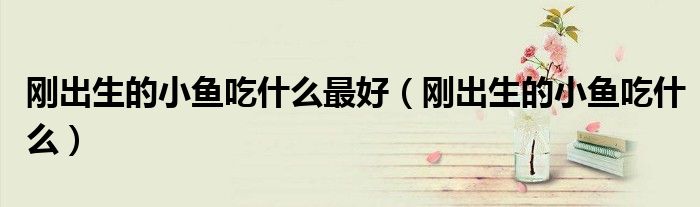 刚出生的小鱼吃什么最好（刚出生的小鱼吃什么）