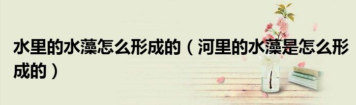 水里的水藻怎么形成的（河里的水藻是怎么形成的）