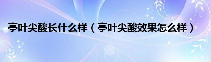 亭叶尖酸长什么样（亭叶尖酸效果怎么样）