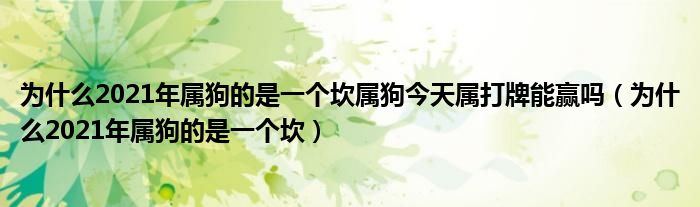 为什么2021年属狗的是一个坎属狗今天属打牌能赢吗（为什么2021年属狗的是一个坎）