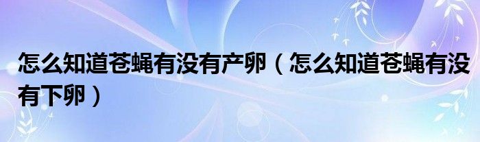 怎么知道苍蝇有没有产卵（怎么知道苍蝇有没有下卵）