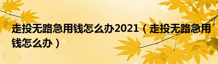 走投无路急用钱怎么办2021（走投无路急用钱怎么办）