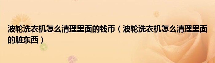 波轮洗衣机怎么清理里面的钱币（波轮洗衣机怎么清理里面的脏东西）