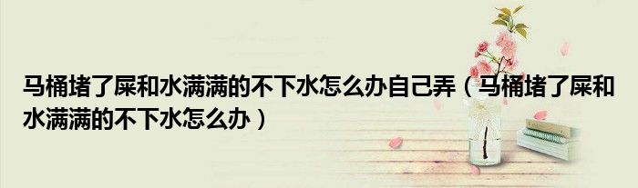 马桶堵了屎和水满满的不下水怎么办自己弄（马桶堵了屎和水满满的不下水怎么办）