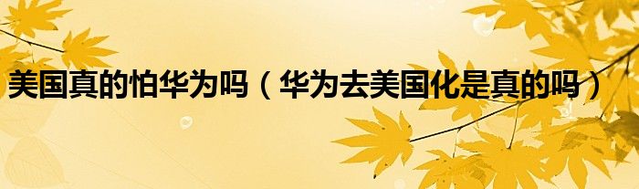 美国真的怕华为吗（华为去美国化是真的吗）