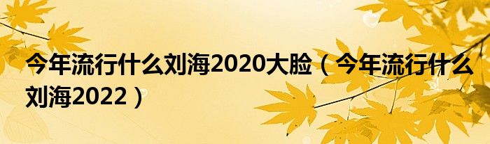 今年流行什么刘海2020大脸（今年流行什么刘海2022）