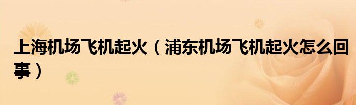 上海机场飞机起火（浦东机场飞机起火怎么回事）