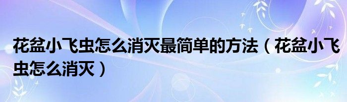 花盆小飞虫怎么消灭最简单的方法（花盆小飞虫怎么消灭）