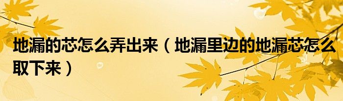 地漏的芯怎么弄出来（地漏里边的地漏芯怎么取下来）