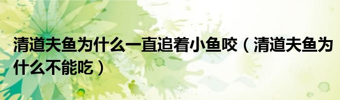 清道夫鱼为什么一直追着小鱼咬（清道夫鱼为什么不能吃）