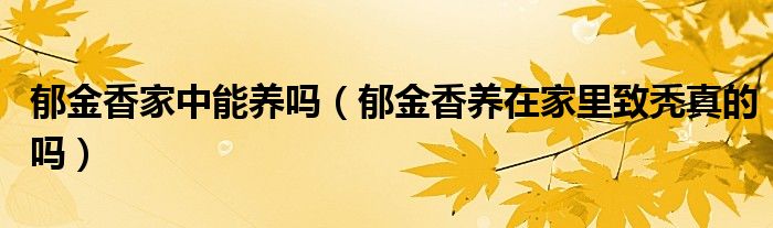 郁金香家中能养吗（郁金香养在家里致秃真的吗）