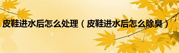 皮鞋进水后怎么处理（皮鞋进水后怎么除臭）