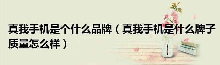 真我手机是个什么品牌（真我手机是什么牌子质量怎么样）