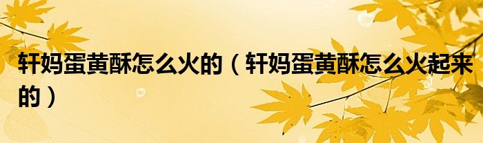 轩妈蛋黄酥怎么火的（轩妈蛋黄酥怎么火起来的）