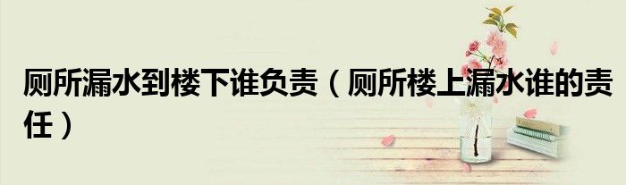 厕所漏水到楼下谁负责（厕所楼上漏水谁的责任）