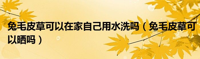 兔毛皮草可以在家自己用水洗吗（兔毛皮草可以晒吗）