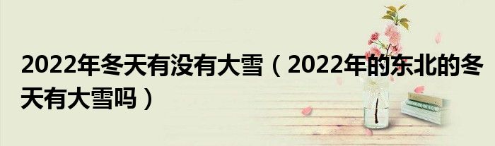 2022年冬天有没有大雪（2022年的东北的冬天有大雪吗）