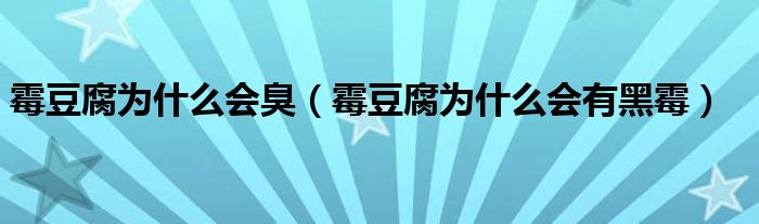 霉豆腐为什么会臭（霉豆腐为什么会有黑霉）