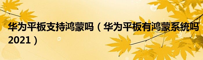 华为平板支持鸿蒙吗（华为平板有鸿蒙系统吗2021）