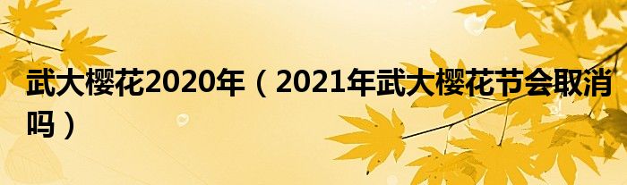 武大樱花2020年（2021年武大樱花节会取消吗）