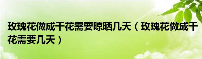 玫瑰花做成干花需要晾晒几天（玫瑰花做成干花需要几天）