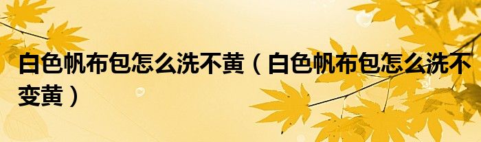 白色帆布包怎么洗不黄（白色帆布包怎么洗不变黄）