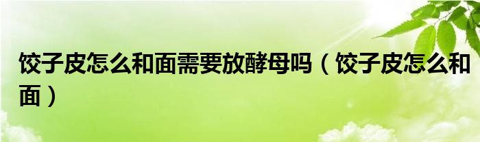饺子皮怎么和面需要放酵母吗（饺子皮怎么和面）