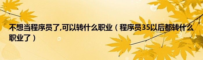 不想当程序员了,可以转什么职业（程序员35以后都转什么职业了）